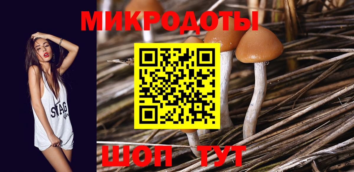 Псилоцибиновые грибы мицелий  Вход с VPN  Дзержинск  Псилоцибиновые грибы Cubensis 