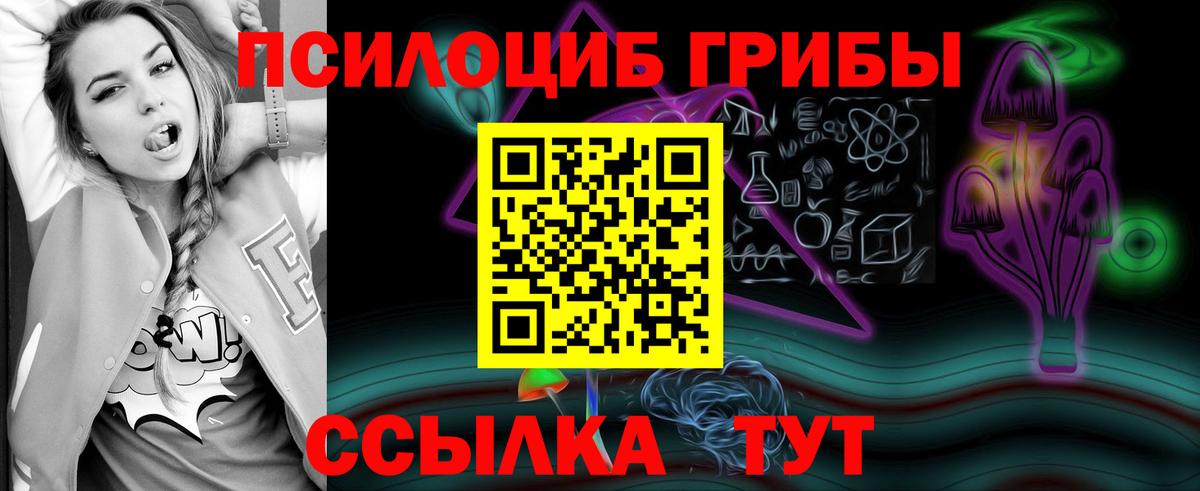 Псилоцибиновые грибы Cubensis Дзержинск